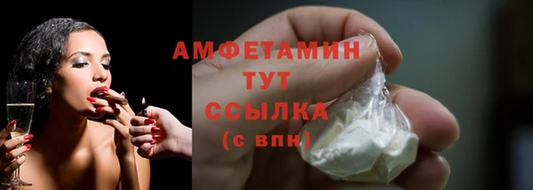 трава Новозыбков
