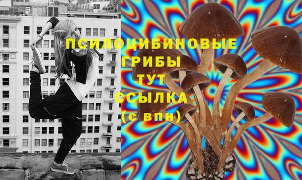 каннабис Новокубанск