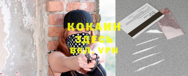 mdpv Новодвинск