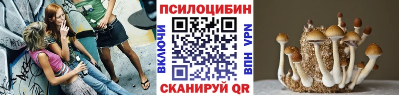 Галлюциногенные грибы Cubensis  Пыталово 